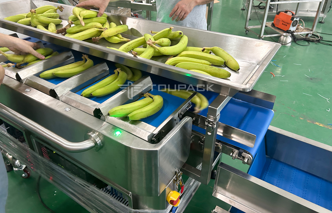 Fabbrica Industria Semi-Auto Mesh Net Bag Peso Contare Netting Taglio Netting confezionamento macchina per frutta di banana