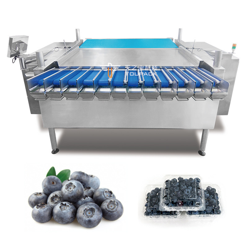 Automatica Passione Frutta Kumquat Jujube invernale Scatola di plastica confezionamento macchina Blackberry Pesatura di riempimento di confezionamento linea