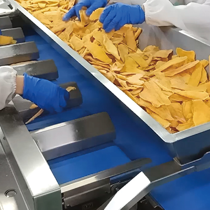 mangue secche Automatico convogliatore a cinghia multi-stazione Acquatico Marino cetriolo Pesce filettato Tavolo Peso bersaglio Contrapeso macchina