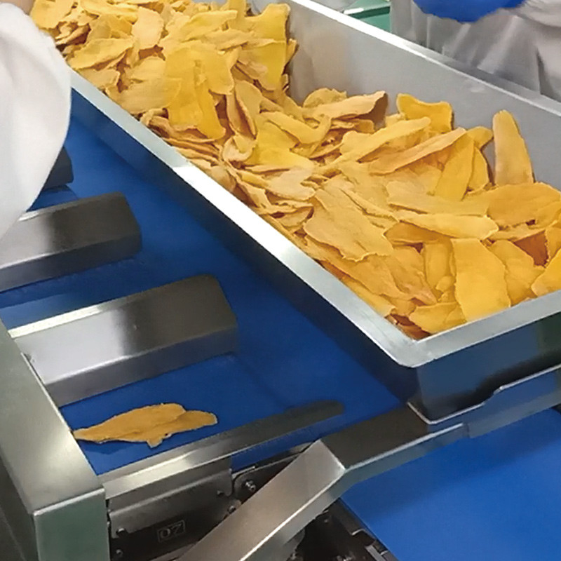 mangue secche Automatico convogliatore a cinghia multi-stazione Acquatico Marino cetriolo Pesce filettato Tavolo Peso bersaglio Contrapeso macchina