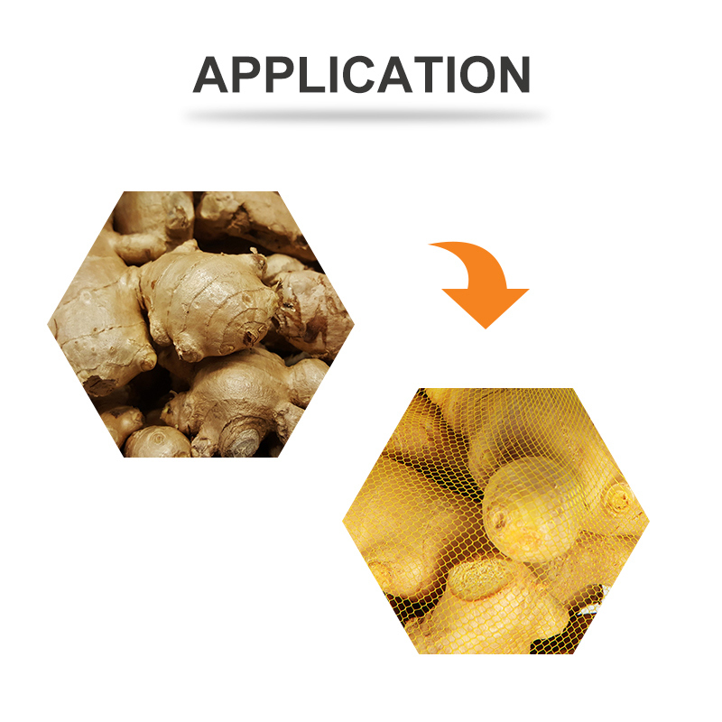 TOUPACK PP Macchina per la produzione di sacchi a rete per cipolle, aglio e patate, macchina per l'imballaggio a rete