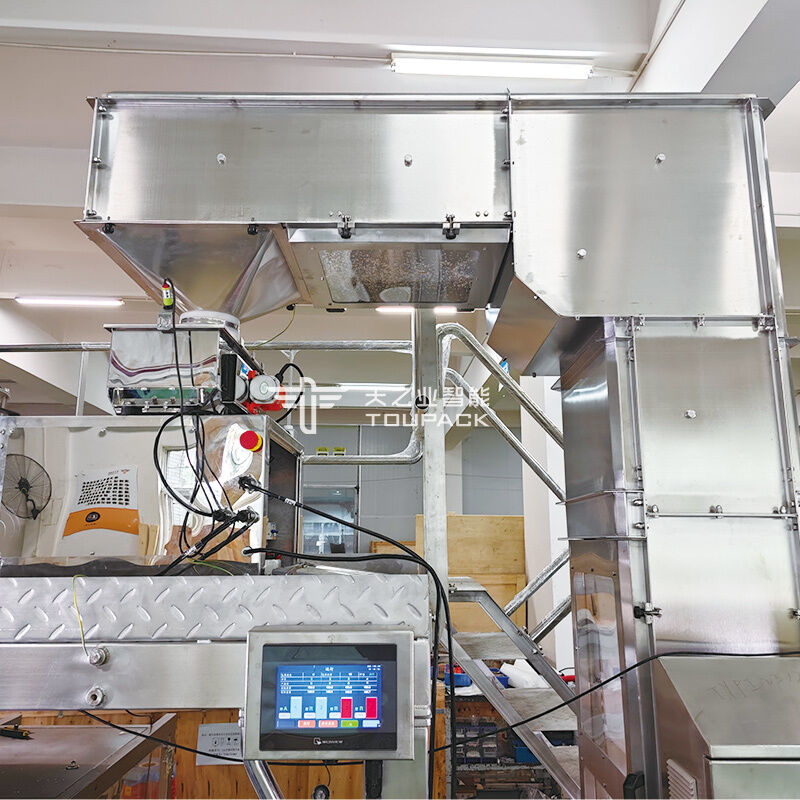 Macchina imballatrice per polvere di spezie 100g 200g 500g Macchina per riempire e sigillare la polvere di attrezzature per l'imballaggio di polvere di peperoncino