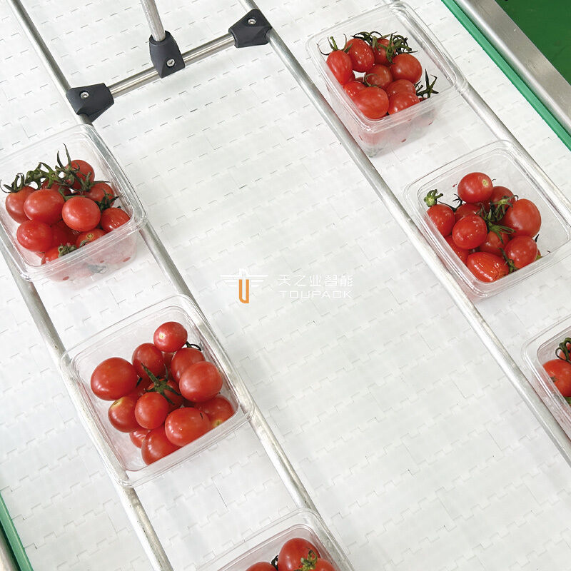 Linea di confezionamento della frutta a conchiglia Macchina automatica di pesatura e riempimento della frutta Sistema di confezionamento della frutta con scatole in PET
