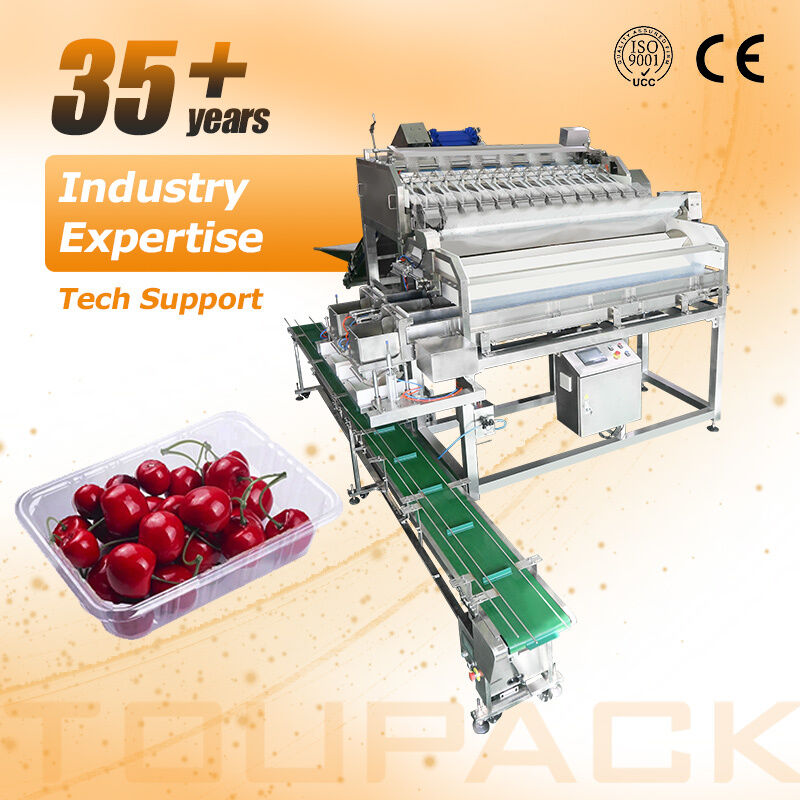 Linea di confezionamento automatica per sigillatura di vassoi per frutta e verdura con pesatrice lineare con sistema di pesatura ad alta precisione