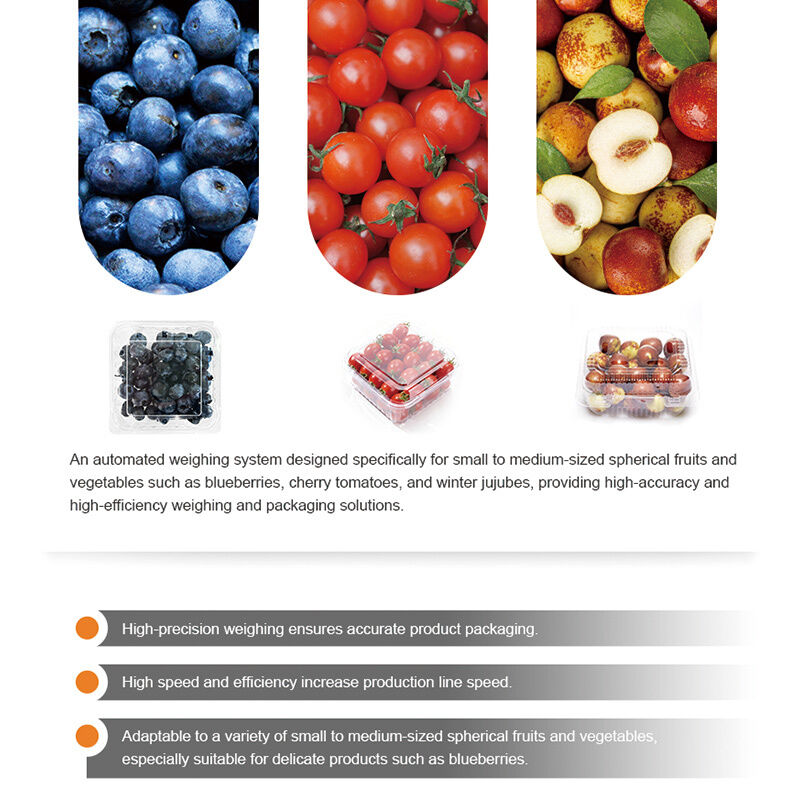 Linea di confezionamento automatica per sigillatura di vassoi per frutta e verdura con pesatrice lineare con sistema di pesatura ad alta precisione