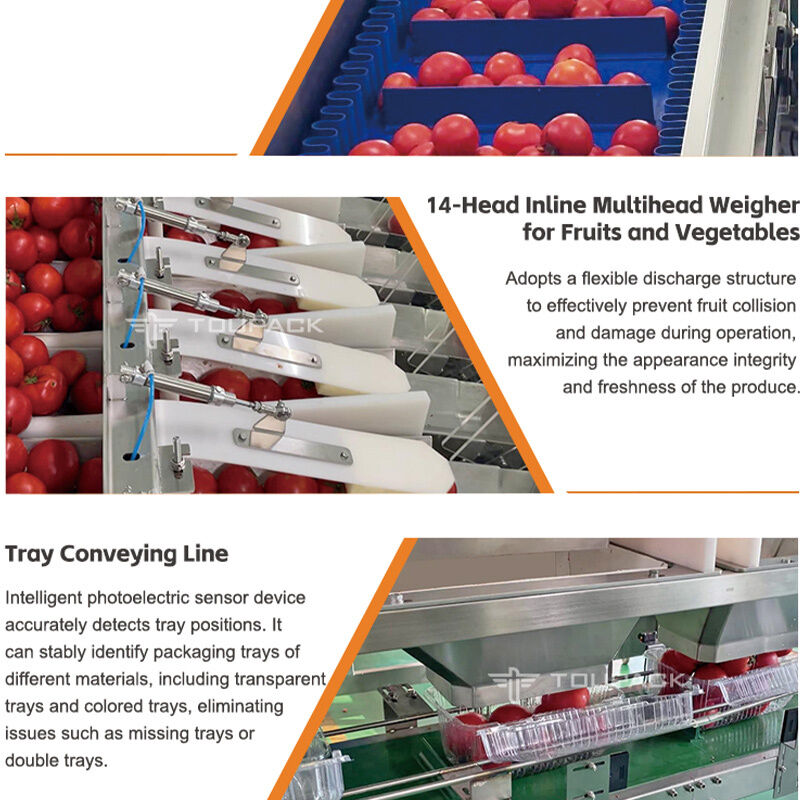 Linea di confezionamento automatica per sigillatura di vassoi per frutta e verdura con pesatrice lineare con sistema di pesatura ad alta precisione