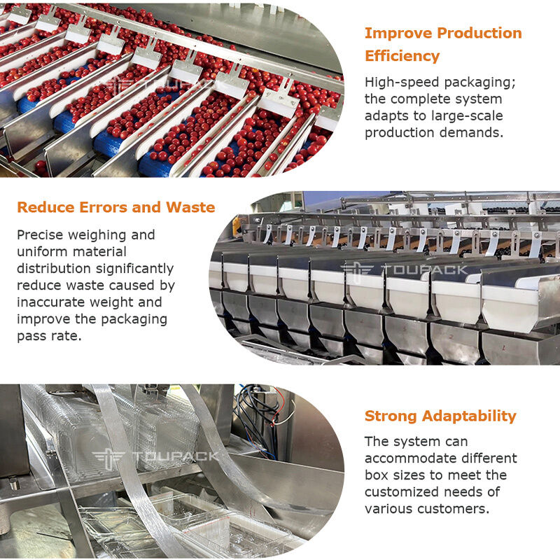 Linea di confezionamento automatica per sigillatura di vassoi per frutta e verdura con pesatrice lineare con sistema di pesatura ad alta precisione