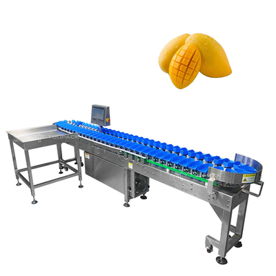 Vaglio di dimensione automatica 304 di acciaio inossidabile per la classificazione degli ortaggi da frutto del mango