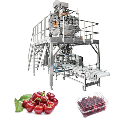 Macchina di confezionamento automatico di frutta Macchine di confezionamento in scatole di pomodori di ciliegie di mele di kumquat