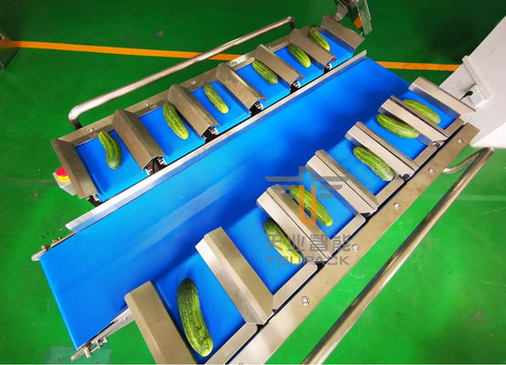 Pesatore di Multihead della frutta della cinghia dello SpA 12 del cetriolo