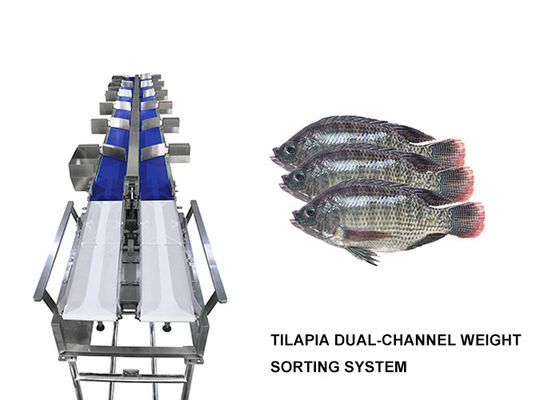 Impermeabilizzi la macchina del selezionatore di Multihweight di 12 gradi per il pesce di alimento fresco/salsiccia/il tuorlo
