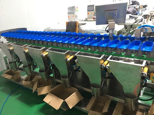 Impermeabile di Multiweight di pollo delle ali della macchina circolare del selezionatore più grande