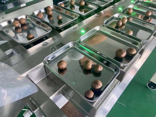 Bilancia della frutta SS304 di Multihead della testa da tavolino del pesatore 12