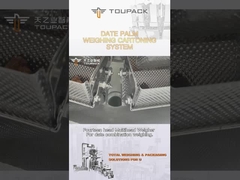 Catena d'imballaggio del contenitore di palma da datteri di personalizzazione catena di montaggio automatica di produzione della macchina di rifornimento del granello