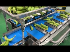 Fabbrica Industria Semi-Auto Mesh Net Bag Peso Conteggio Rete Taglio Imballaggio Machinario