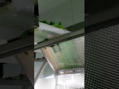 macchina per la pesatura multi-testa di insalata