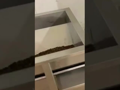 Macchina di imballaggio a pesatura lineare di chicchi di caffè