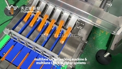 Macchine industriali per il confezionamento di sacchetti a bastoncini a più corsie con pesatrice di controllo a più corsie