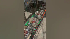 Macchina confezionatrice VFFS per alimenti per pappagalli, alimenti per animali domestici, frutta secca, granulare, frutta liofilizzata per frutta secca