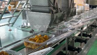 Linea automatica di pesatura e inscatolamento di mango a cubetti | 50 scatole/min | TOUPACK