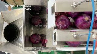 Linea di confezionamento di sacchi a rete per cipolle: pesatura ad alta velocità e riempimento efficiente di sacchi a rete per prodotti agricoli